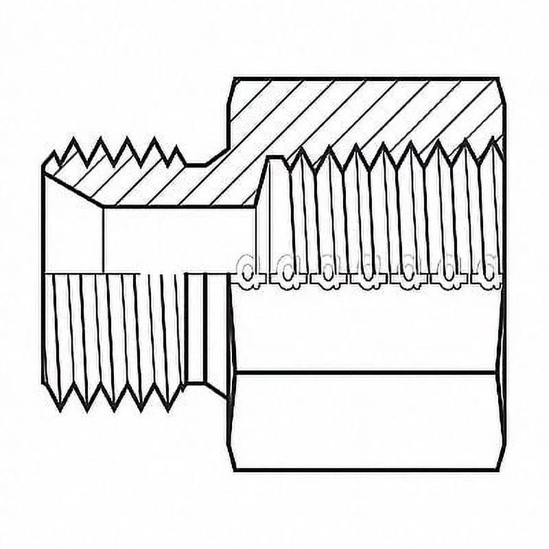 Adaptall Hose Adapter,1/2",,1/2", 9035-0808