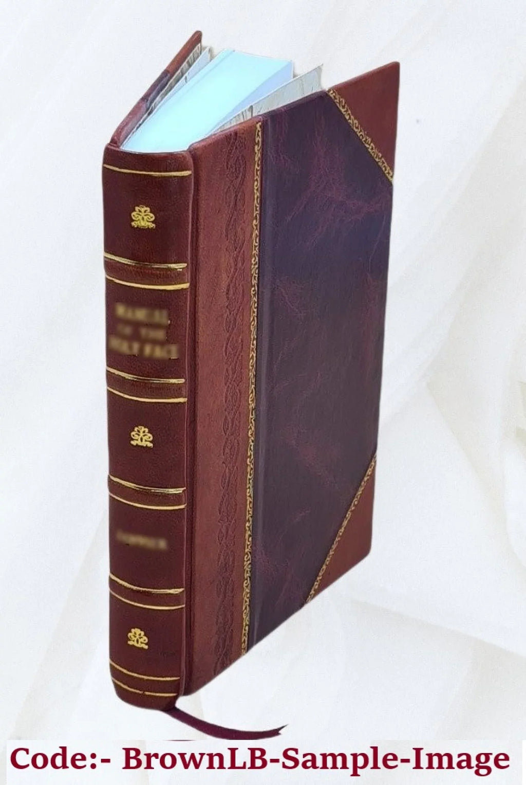 Great cities of Europe. First [-second] series. By Esther Singleton ... Volume v. 1 1913 [Leather Bound]