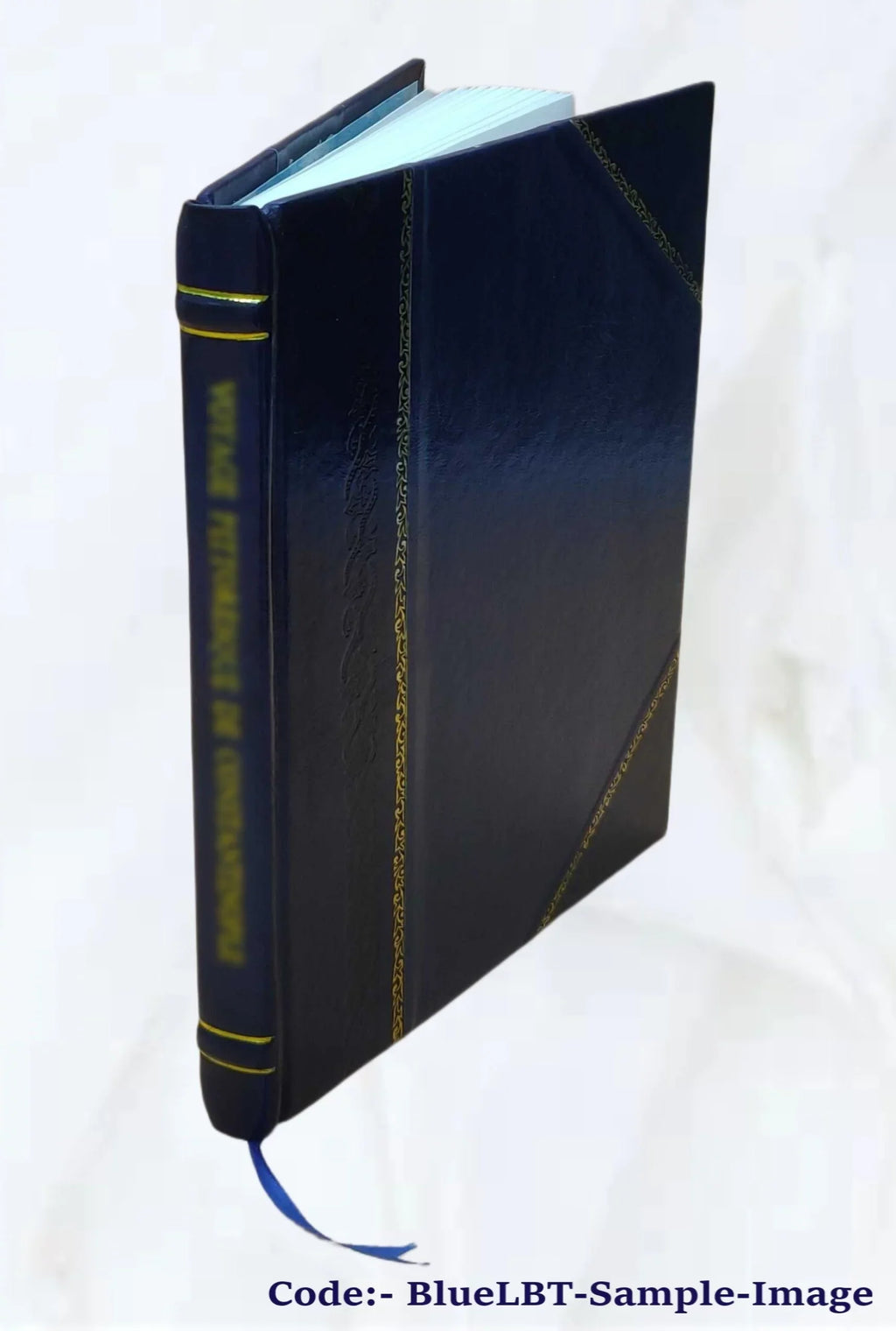 The geology of the country around Carlisle. (Explanation of sheet 107, with parts of 101 & 106 old series; sheets 16 & 17, with parts of 12, 18, 22 & 23 new series) By . . Holmes