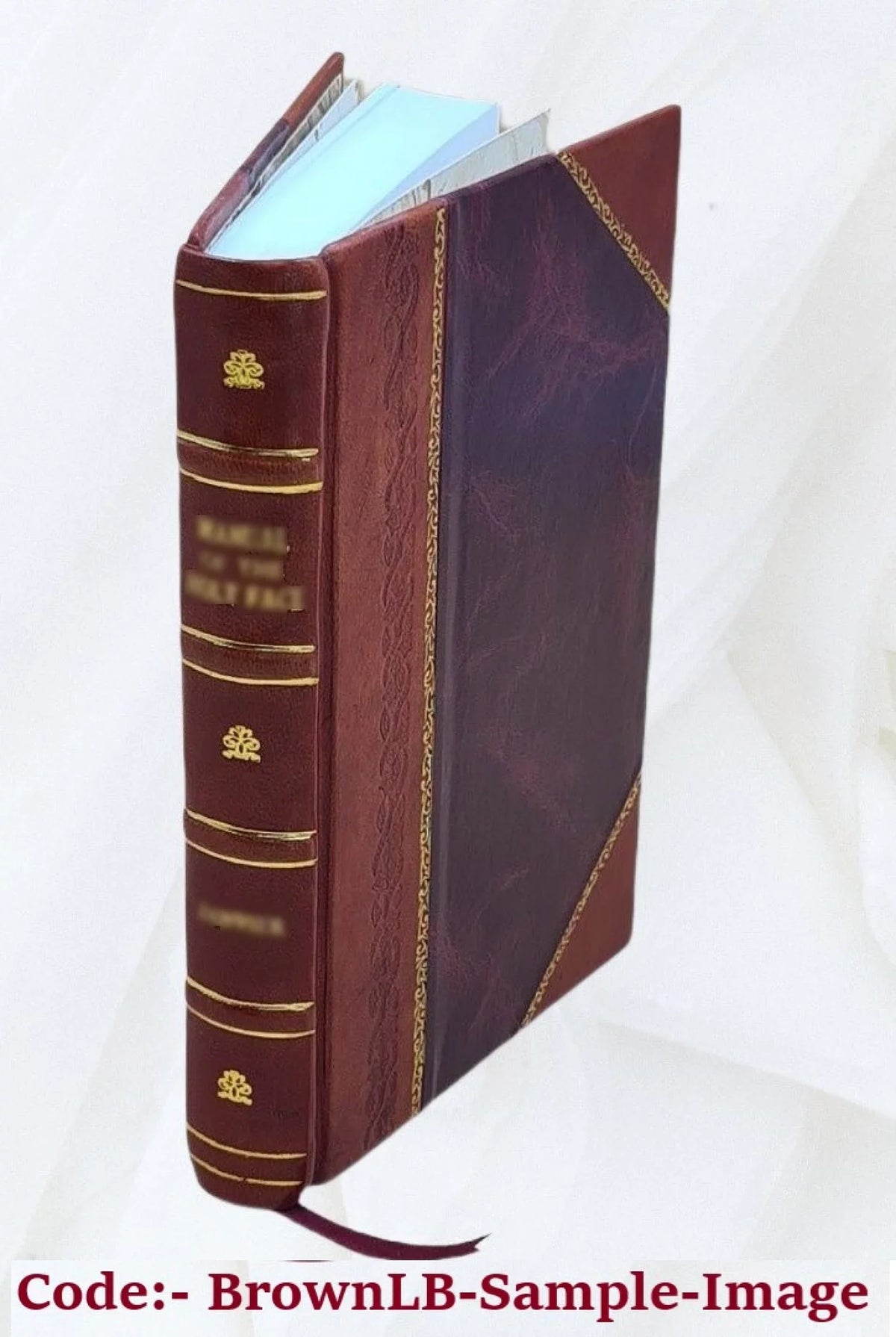 'Instituteur d'un prince-royal : tiré d'un ouvrage irlandais intitulé -Ribeau et -Ribelle, publié en français sous le titre des Veillées-du-marais. Première-[quatrième] partie.