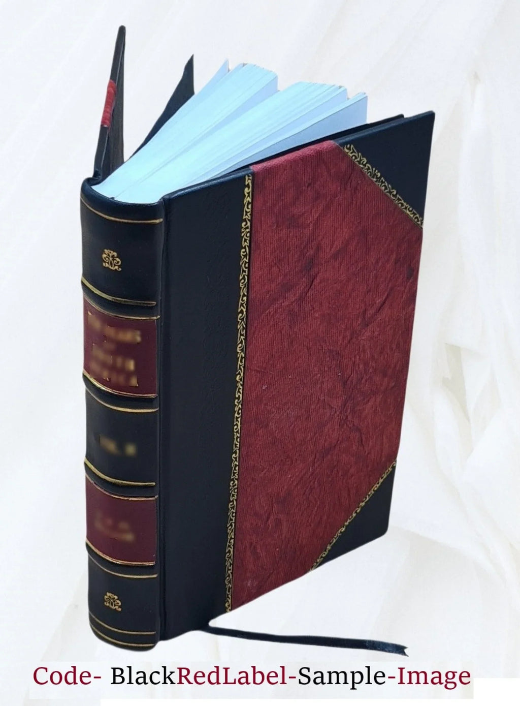 digest of the reported decisions in the Supreme Court of New Brunswick : from Hilary term, 42 Victoria 1879 to Eastern term, 49 Victoria 1886 : with digest of cases in Canada Sup